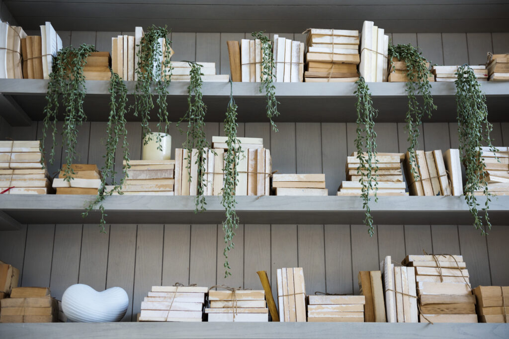 Bookshelf books education knowledge study