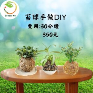 你的段落文字 (87)