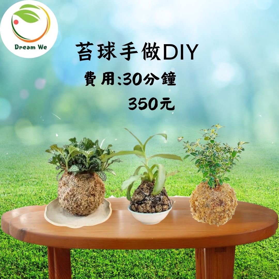 你的段落文字 (87)